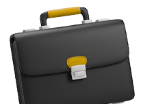 Professional Services